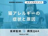 非公開: 「猫アレルギー」の症状・原因・発症率はご存知ですか？【医師監修】