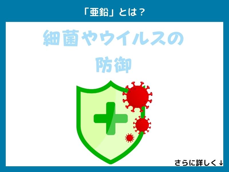 「亜鉛」とは？