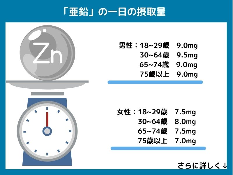 亜鉛の一日の摂取量