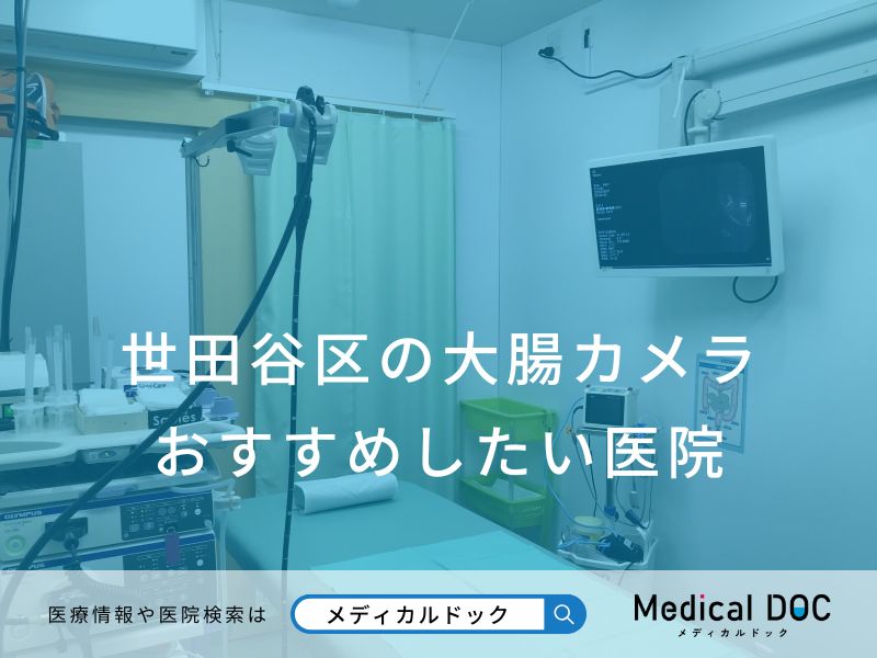 世田谷区の大腸カメラ おすすめしたい医院