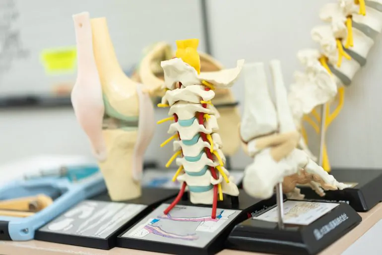 こごた整形外科クリニック