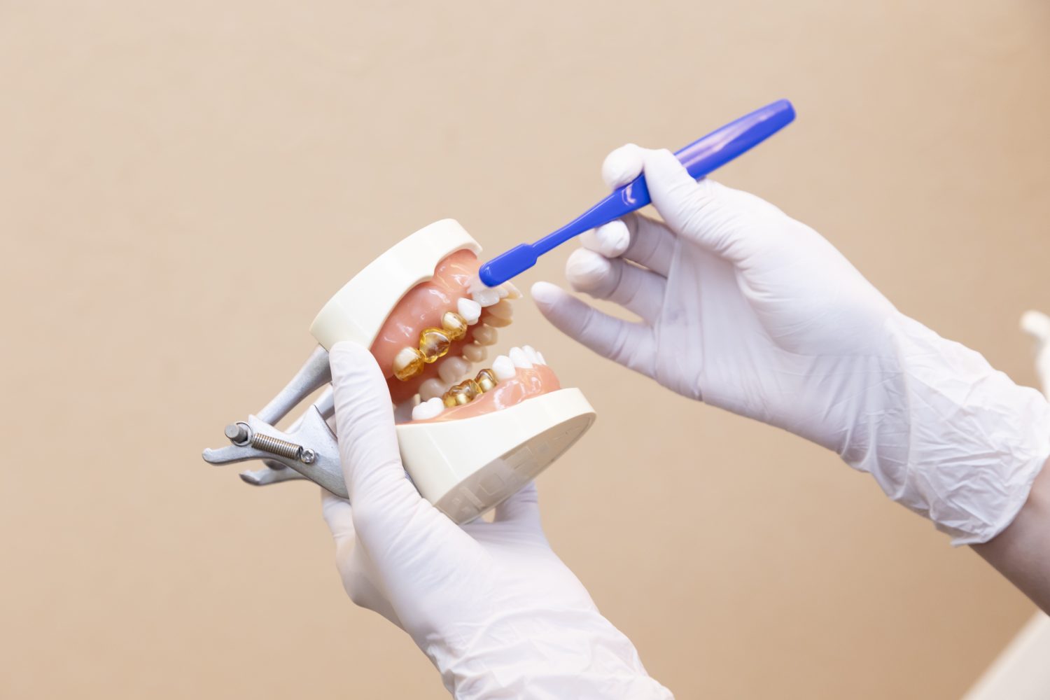 さかの歯科photo