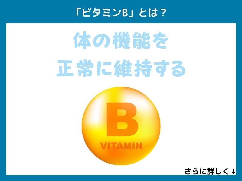 「ビタミンB」とは?