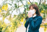 「花粉症」に効く漢方薬の種類はご存じですか? アレルギー体質の治し方も医師が解説!