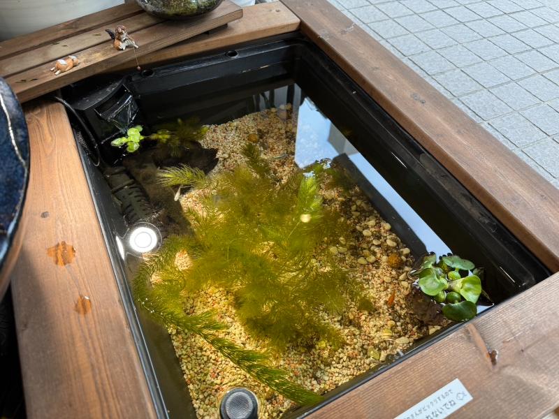 成城学園前 泉の歯科・矯正歯科photo