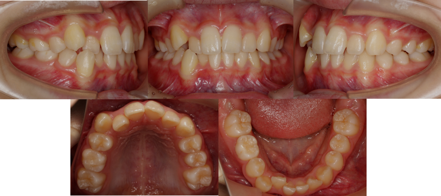 蒲田あさみ矯正歯科