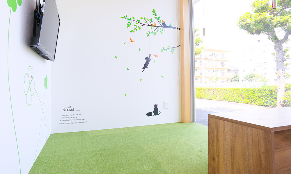 リリー歯科・矯正歯科クリニックphoto