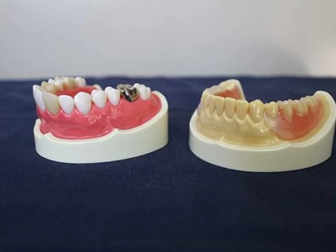 川本歯科医院photo