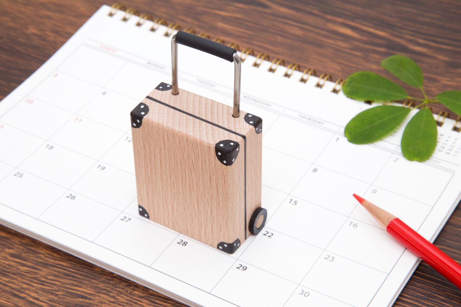 旅行に行く前に準備しておきたいポイントとは