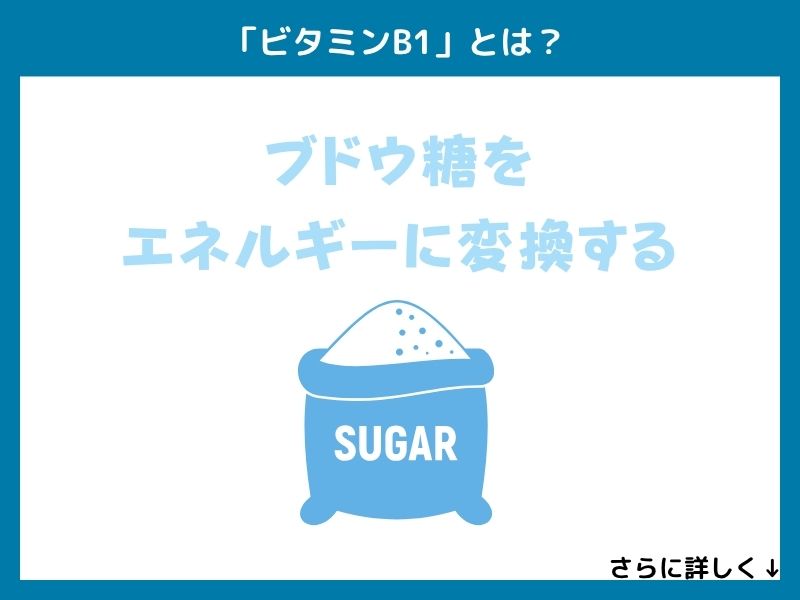 「ビタミンB1」とは？