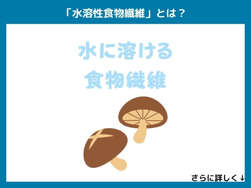 「水溶性食物繊維」とは？