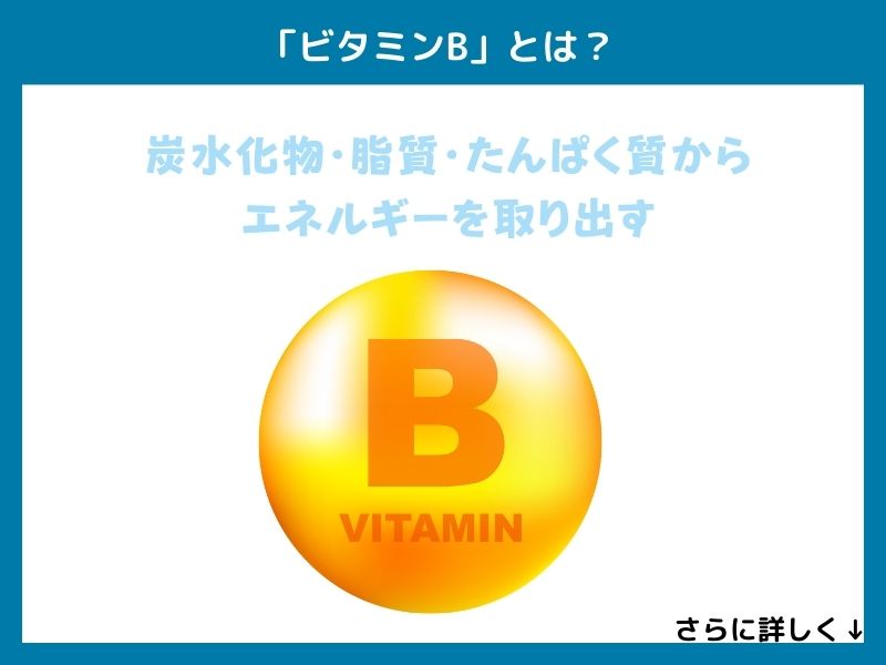 「ビタミンB」とは？