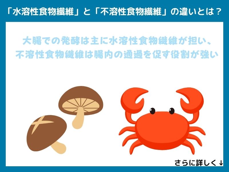 「水溶性食物繊維」と「不溶性食物繊維」の違いとは？
