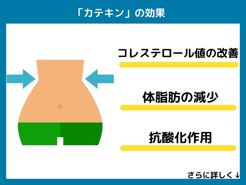 カテキンの効果