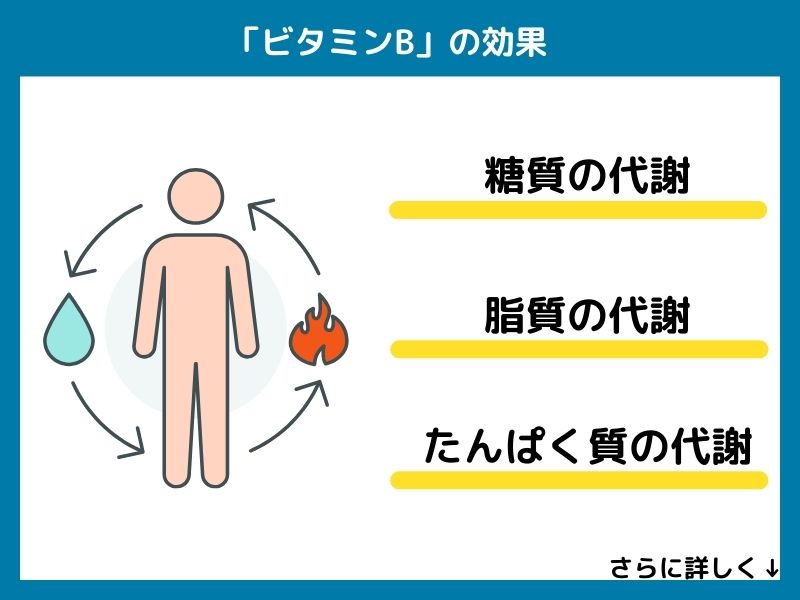 ビタミンBの効果