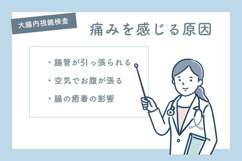 大腸内視鏡検査で痛みを感じる原因