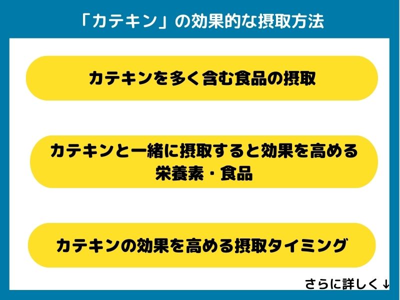 カテキンの効果的な摂取方法