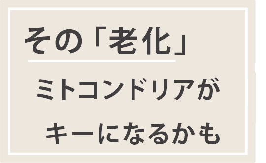 患者さまによりそう 「心が通った診察」をお約束します