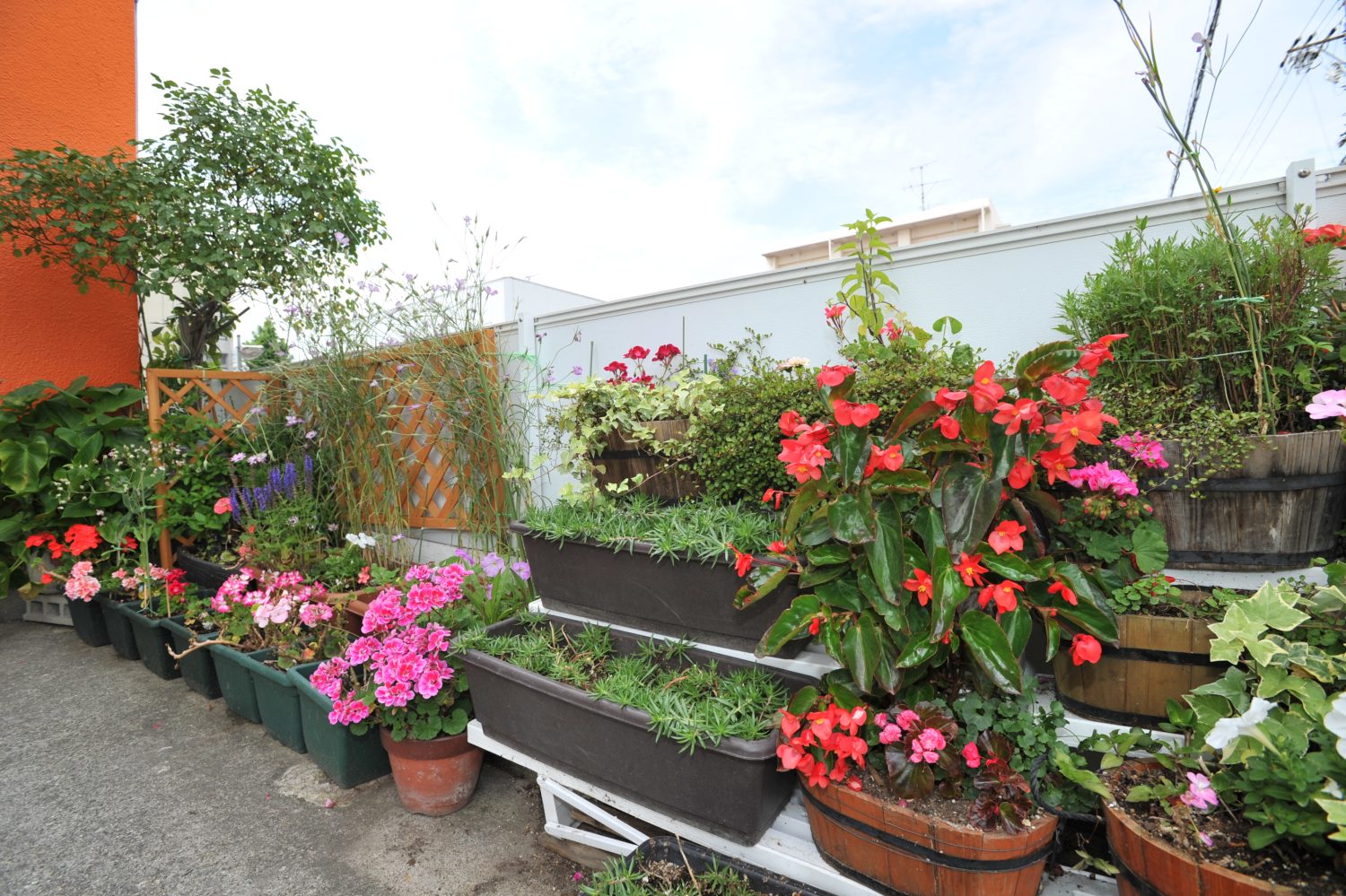 いとう歯科photo