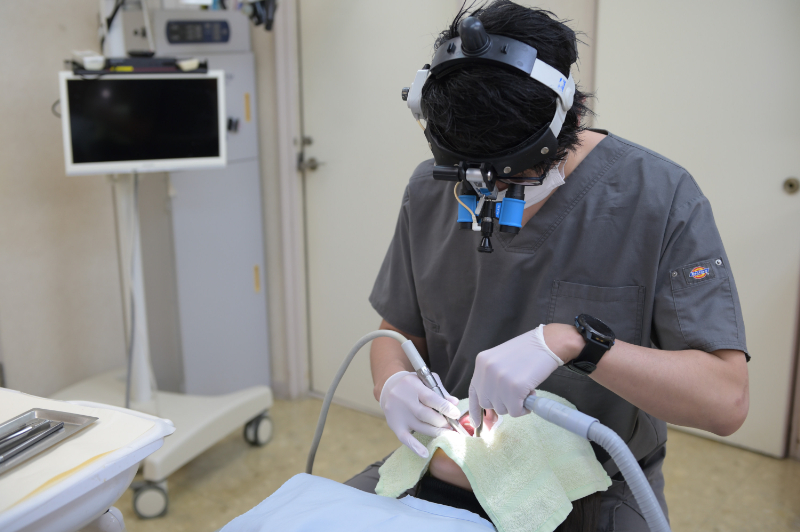 田端歯科医院photo