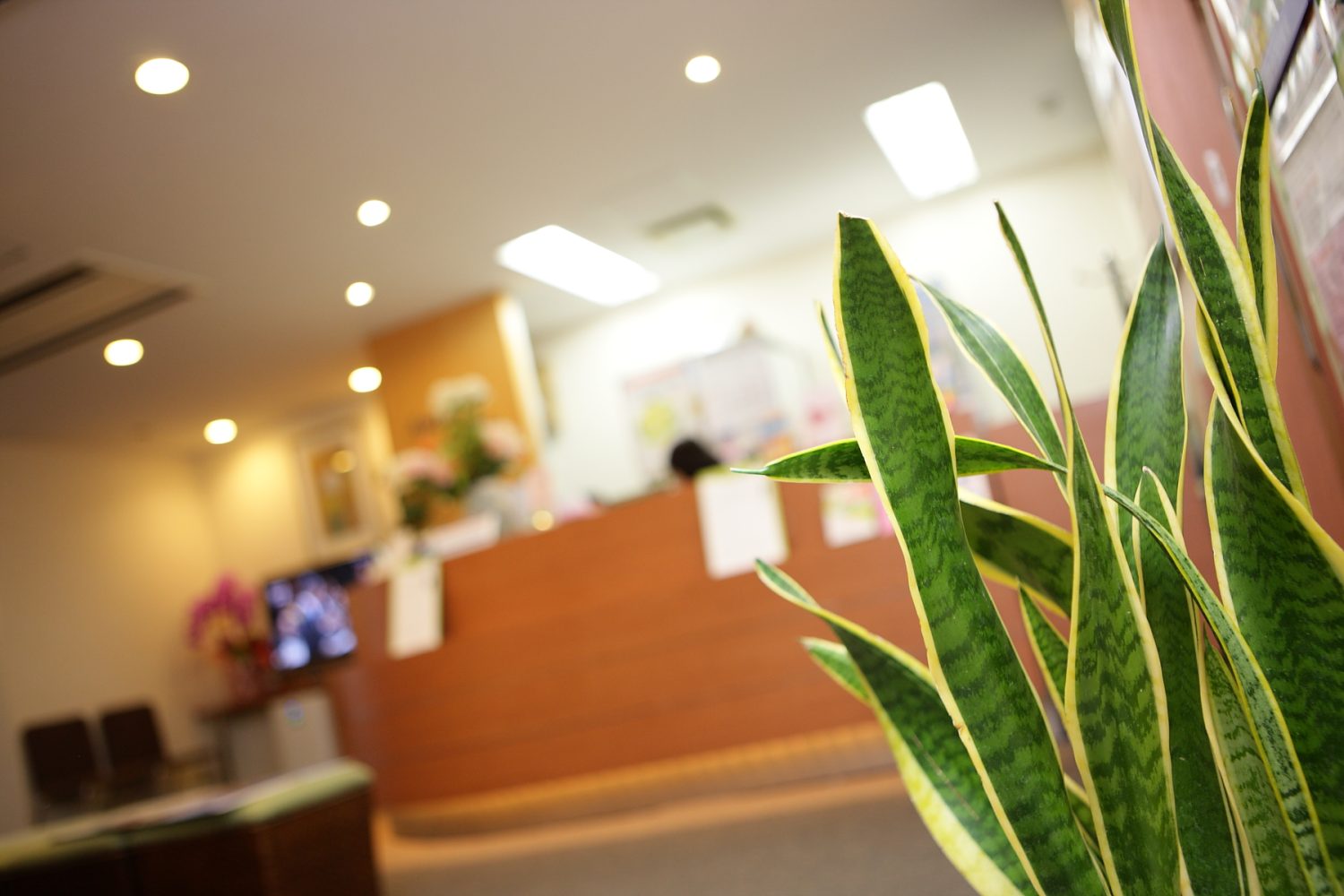 あさわクリニック初台photo