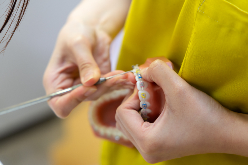 しのぐちこども歯科きょうせい歯科photo