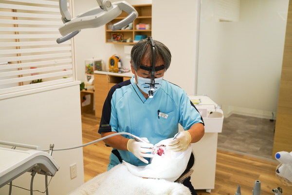 きたで歯科クリニックphoto