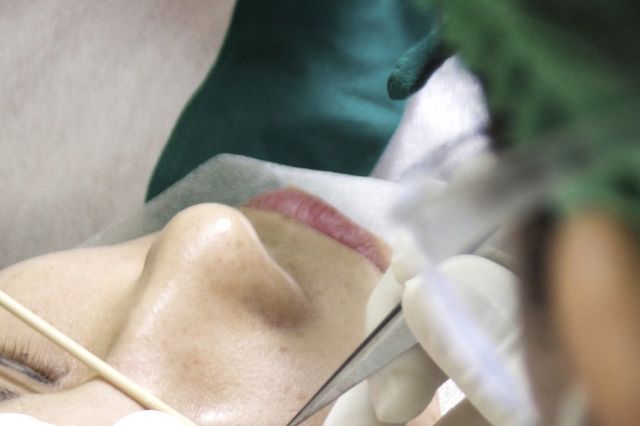 黒クマの治療法