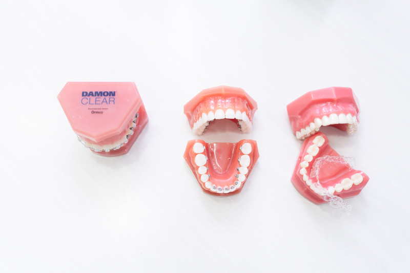 オレフィス矯正歯科photo