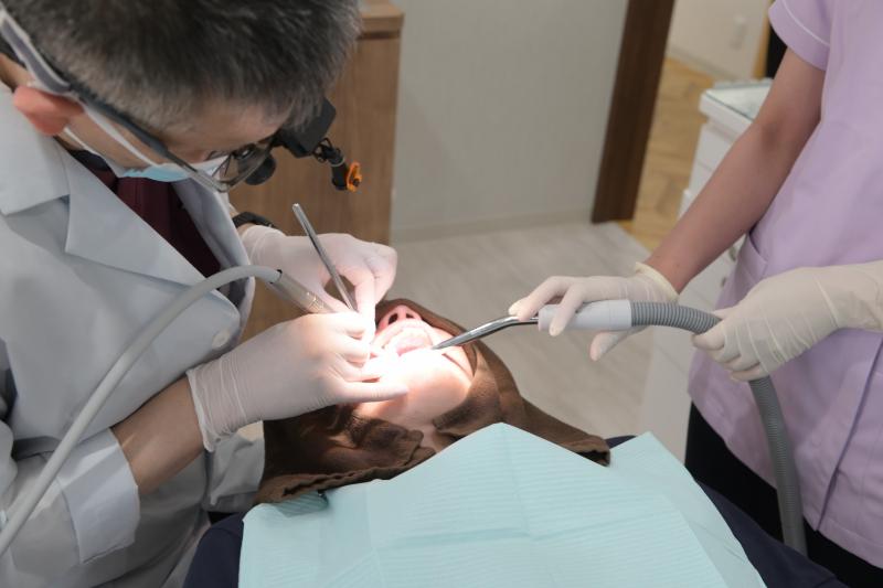 玄和堂歯科診療所photo