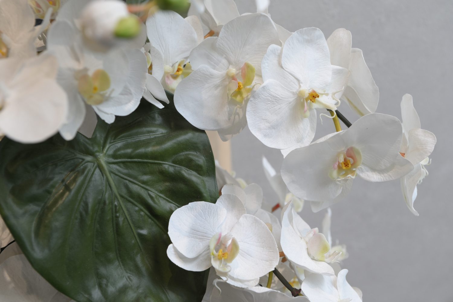 赤坂B＆S歯科・矯正歯科photo