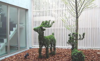 医療法人社団柔和会 藤澤こどもクリニック