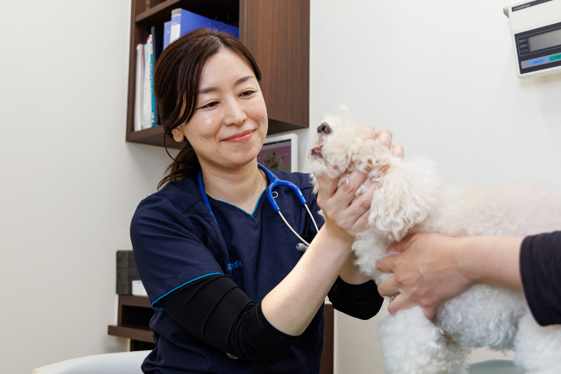 室見動物病院photo