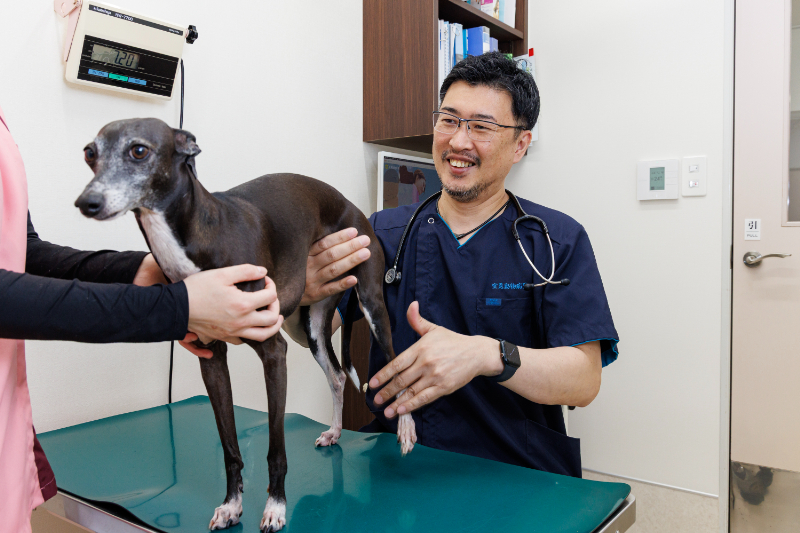 室見動物病院photo