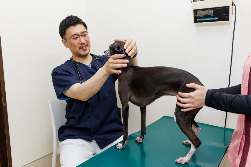 室見動物病院photo