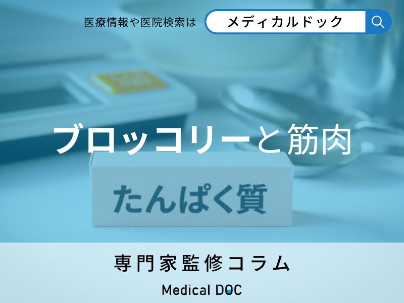 ブロッコリーと筋肉