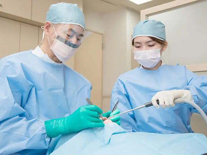 かすや歯科医院