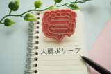 「大腸ポリープを切除すると生存率が上がる」理由を医師に聞く 放置するリスクとは