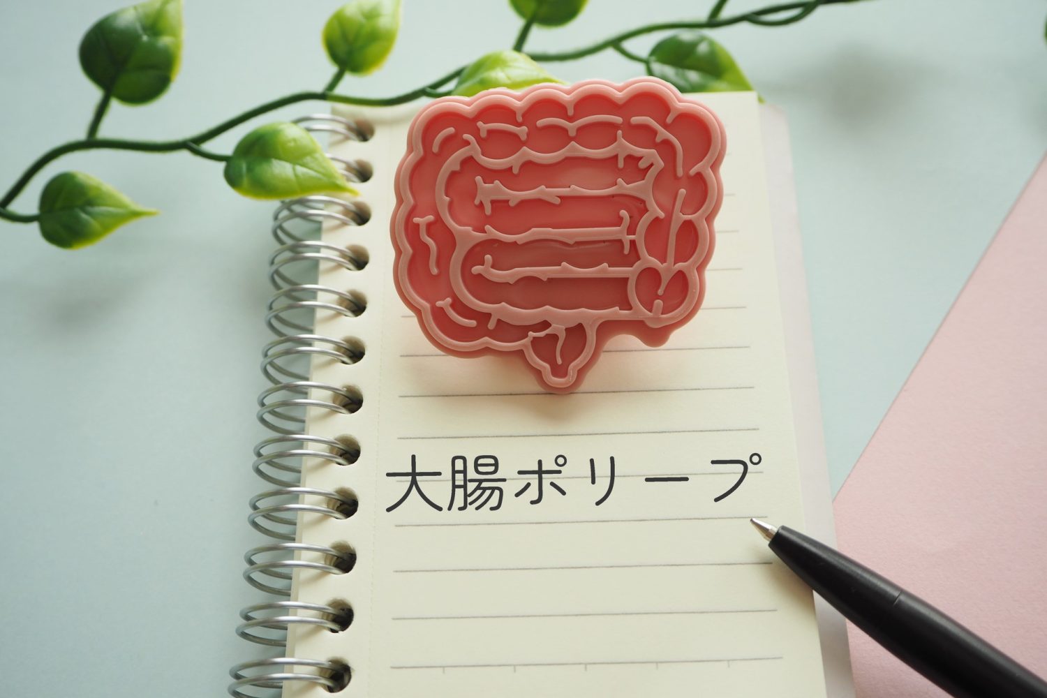 「大腸ポリープを切除すると生存率が上がる」理由を医師に聞く 放置するリスクとは