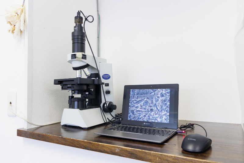 いとう歯科クリニックphoto