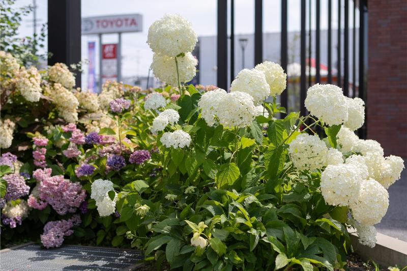 鈴木眼科医院photo