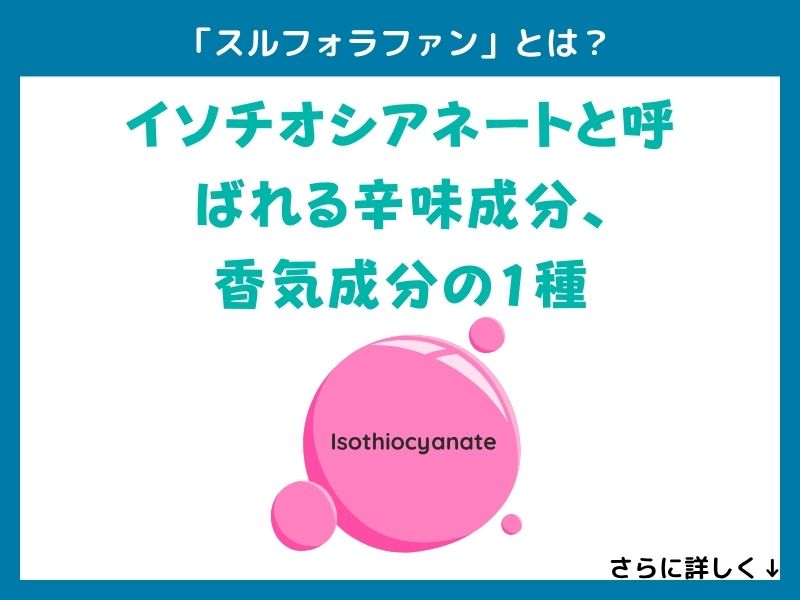 「スルフォラファン」とは？