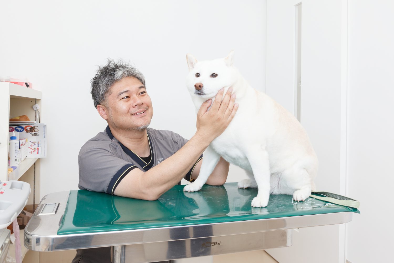 こひ動物病院photo