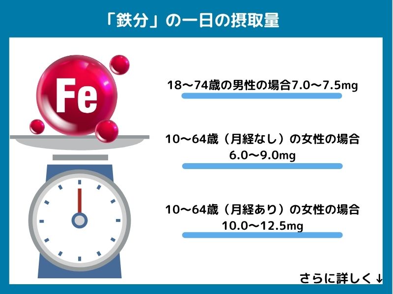 鉄分の一日の摂取量