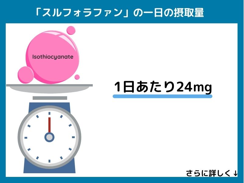 スルフォラファンの一日の摂取量