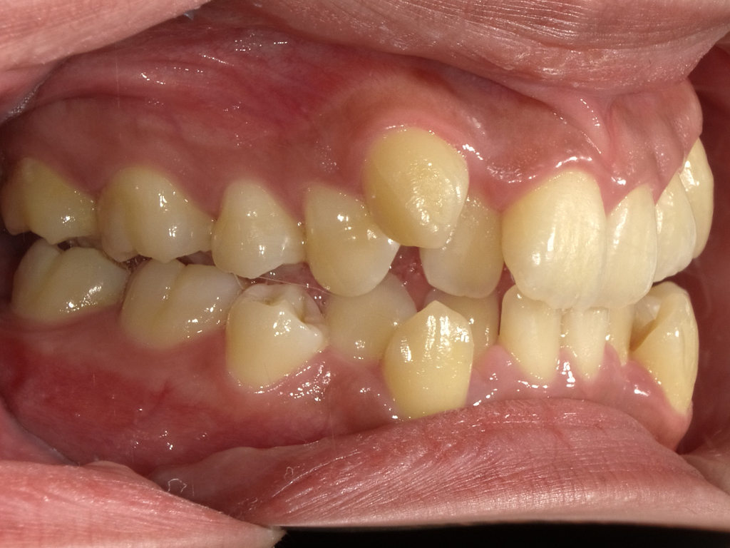 菜園矯正歯科クリニックphoto