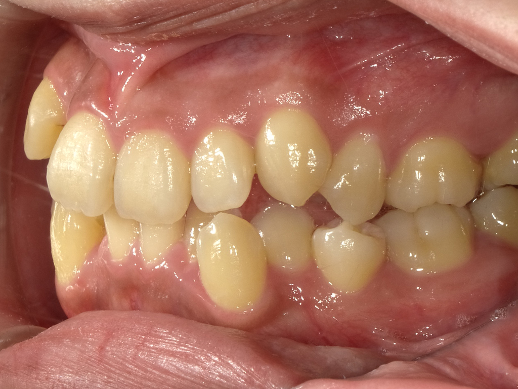 菜園矯正歯科クリニックphoto