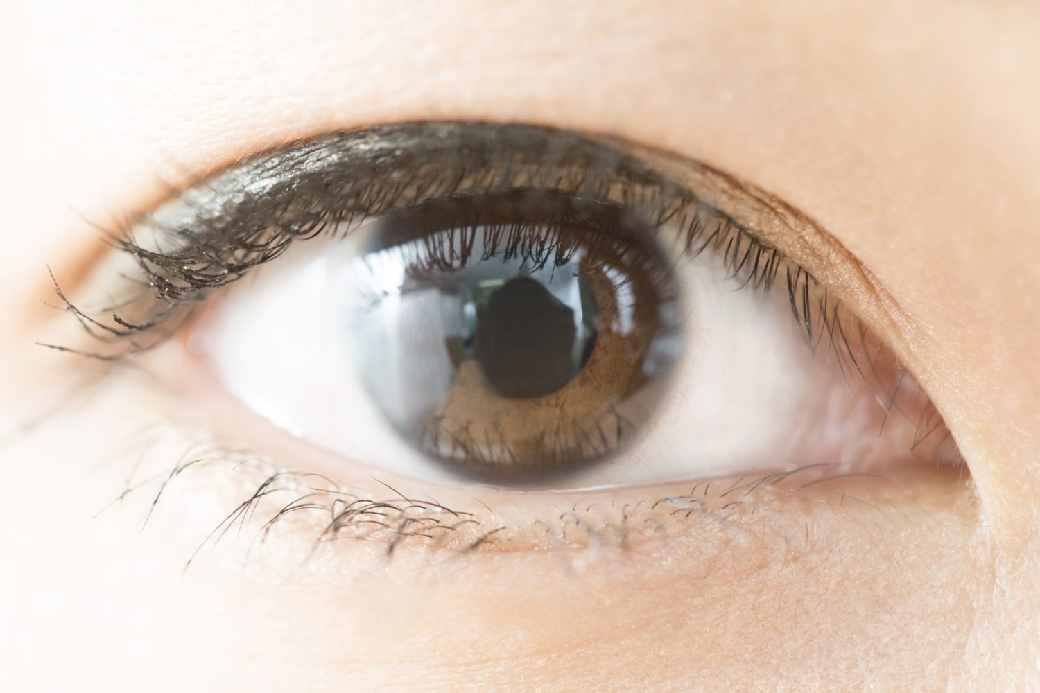 オルソケラトロジーってどんな治療？