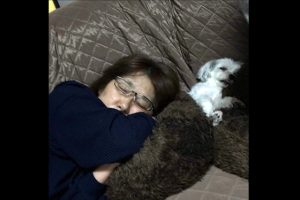 【闘病】まさか看護師の自分が難病になるとは… ｢重症筋無力症｣で体力の限界感じ無職に