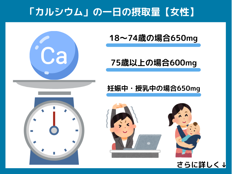 【女性】カルシウムの一日の摂取量